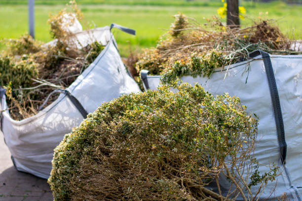 Best Local Junk Hauling  in Occoquan, VA
